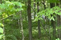 Undeveloped Land in Washburn County, Wisconsin