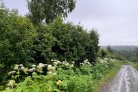Land in Kenai Peninsula Borough, Alaska
