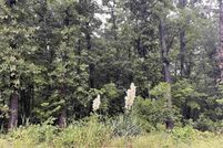 Undeveloped Land for sale in Sharp County, Arkansas