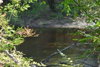 Undeveloped Land in Tattnall County, Georgia