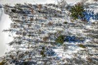 Undeveloped Land in Beltrami County, Minnesota