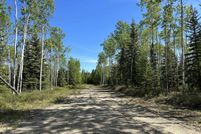 Land for sale in Southeast Fairbanks Borough, Alaska
