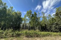 Recreational Property for sale in Southeast Fairbanks Borough, Alaska