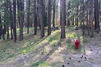 Land for sale in Plumas County, California