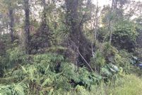 Undeveloped Land in Hawaii County, Hawaii