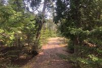 Timberland Property in Mackinac County, Michigan