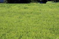 Homesite for sale in Gibson County, Indiana