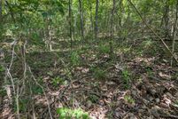 Lakefront Property for sale in Stone County, Missouri