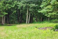 Undeveloped Land in Orleans County, Vermont