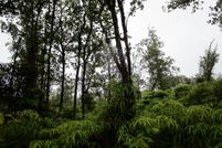 Homesite in Hawaii County, Hawaii