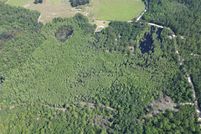 Undeveloped Land in Chesterfield County, South Carolina