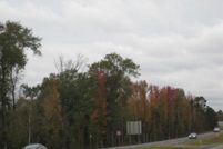 Undeveloped Land for sale in Nacogdoches County, Texas