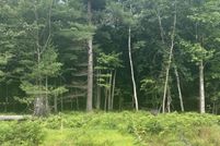 Hunting Property for sale in Midland County, Michigan