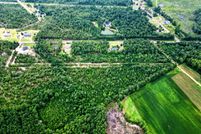 Undeveloped Land in Dillon County, South Carolina