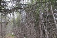 Waterfront Property for sale in Kenai Peninsula Borough, Alaska