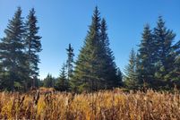 Undeveloped Land for sale in Kenai Peninsula Borough, Alaska