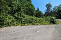 Undeveloped Land in Lewis County, Washington