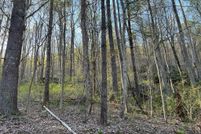 Land for sale in Carroll County, Virginia