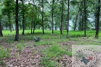 Land for sale in Lafayette County, Arkansas