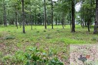 Land for sale in Lafayette County, Arkansas
