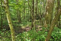 Land for sale in Swain County, North Carolina