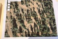 Homesite for sale in Klamath County, Oregon