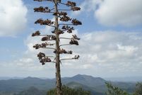 Recreational Property for sale in Grant County, New Mexico