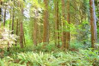 Undeveloped Land in Whatcom County, Washington