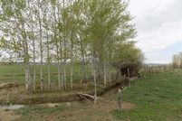 Timberland Property in Sublette County, Wyoming