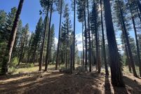 Land for sale in Plumas County, California