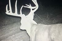 Land in Terry County, Texas