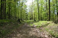 Undeveloped Land in Clearfield County, Pennsylvania