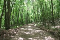Undeveloped Land in Clinton County, Pennsylvania