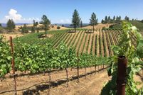 Land in Calaveras County, California