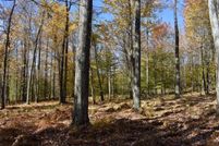 Undeveloped Land in McKean County, Pennsylvania