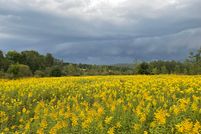 Recreational Property in Otsego County, New York