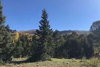Undeveloped Land in Teller County, Colorado