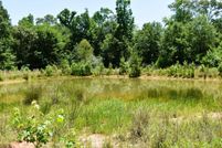 Timberland Property in Leon County, Texas