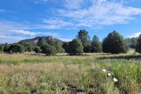 Undeveloped Land in Grant County, New Mexico