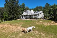 Undeveloped Land in Union County, Georgia