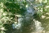 Farm and Ranch for sale in Jackson County, Mississippi