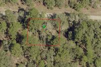 Undeveloped Land in Citrus County, Florida