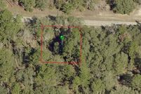 Undeveloped Land in Citrus County, Florida