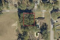 Undeveloped Land in Marion County, Florida