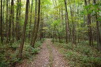 Undeveloped Land in Warren County, Pennsylvania