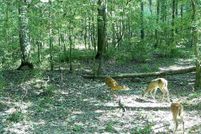 Land for sale in Jefferson County, Arkansas