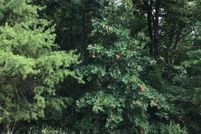 Land for sale in Pike County, Indiana