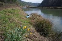 Hunting Property in Lincoln County, Oregon