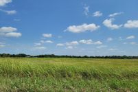 Undeveloped Land in Fannin County, Texas