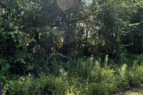 Undeveloped Land in Van Zandt County, Texas